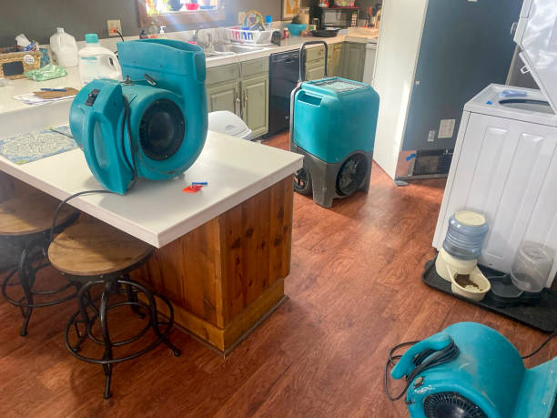 Best Local water damage restoration  in Medford, WI