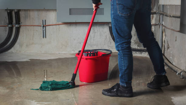  Medford, WI Water damage restoration Pros