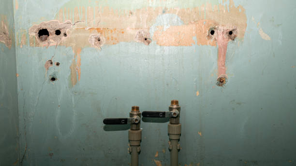 Best Flood damage cleanup  in Medford, WI