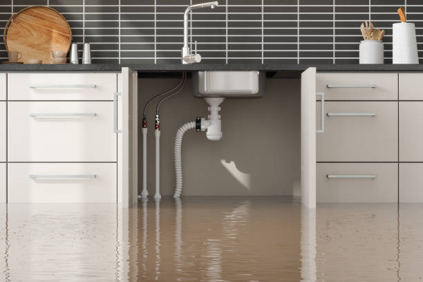 Best Professional water damage repair  in Medford, WI