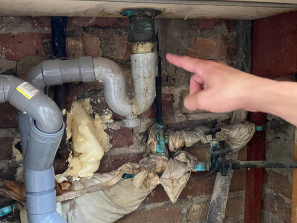 Best Basement water damage restoration  in Medford, WI