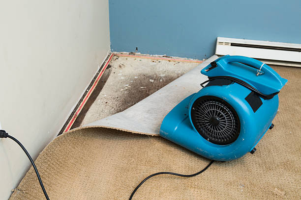 Best Local water damage restoration  in Medford, WI